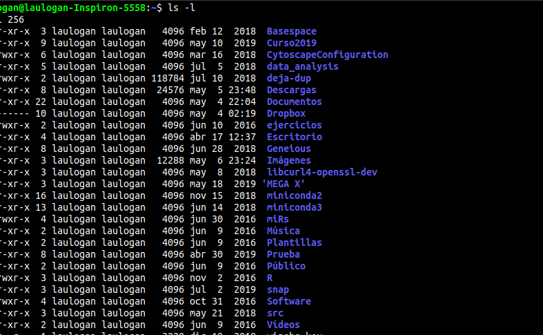 comandos de terminal