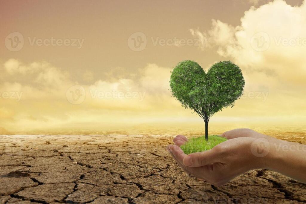 como evitar un aborto de 6 semanas 1 imagen de portada un corazon formado por dos manos protegiendo una pequena flor en su interior