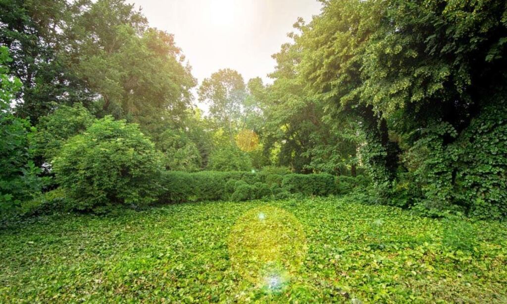 como evitar malas hierbas 1 imagen de portada un jardin bien cuidado sin malas hierbas
