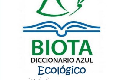 imagen de portada un vaso de agua con limon y hojas de menta representando una bebida refrescante y saludable para prevenir la formacion de piedras en el rinon