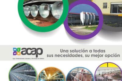 imagen de portada una ilustracion de una tabla de cocina con alimentos frescos y una mano sosteniendo un termometro de alimentos transmitiendo la idea de precaucion y control de la temperatura para