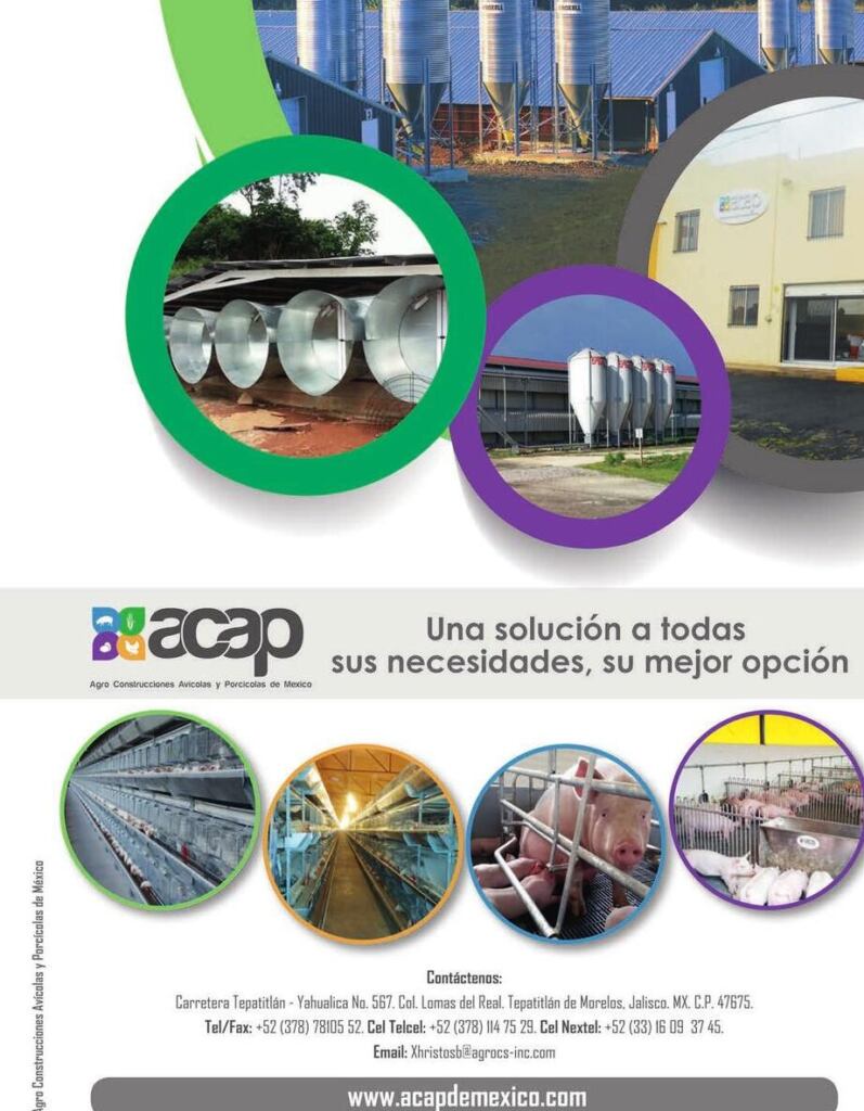 imagen de portada una ilustracion de una tabla de cocina con alimentos frescos y una mano sosteniendo un termometro de alimentos transmitiendo la idea de precaucion y control de la temperatura para