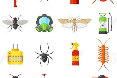 una imagen de portada con diferentes insectos y plagas domesticas