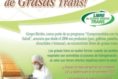 una imagen de un rinon sano rodeado de elementos naturales y saludables