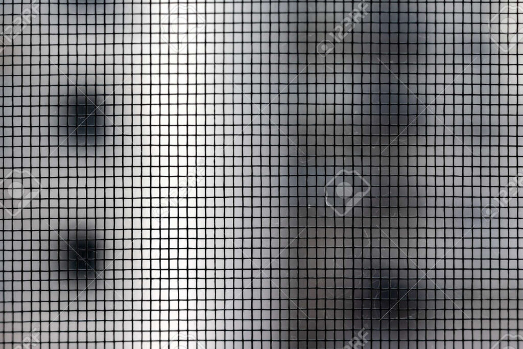 una imagen de una casa con una mosquitera en la ventana