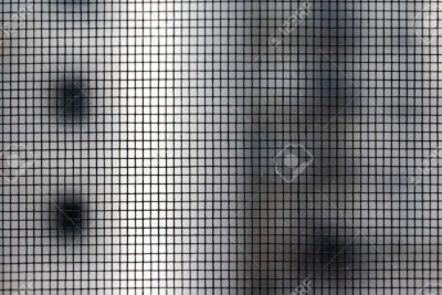 una imagen de una casa con una mosquitera en la ventana
