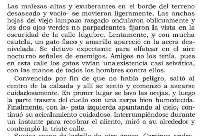 una taza de cafe con vapor ascendente en un escritorio con un reloj despertador y libros abiertos